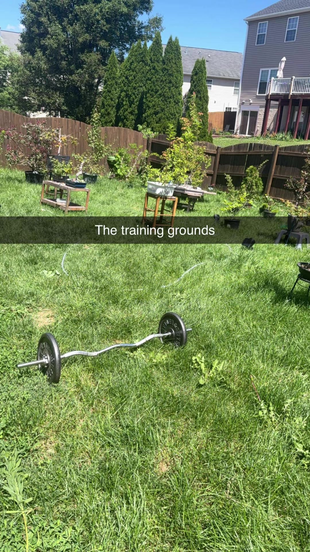 @b~l&yuml;fe420