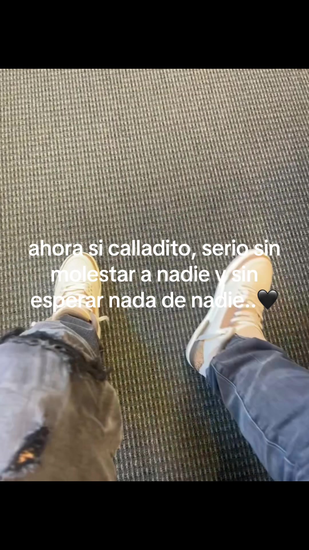 @acvs_19