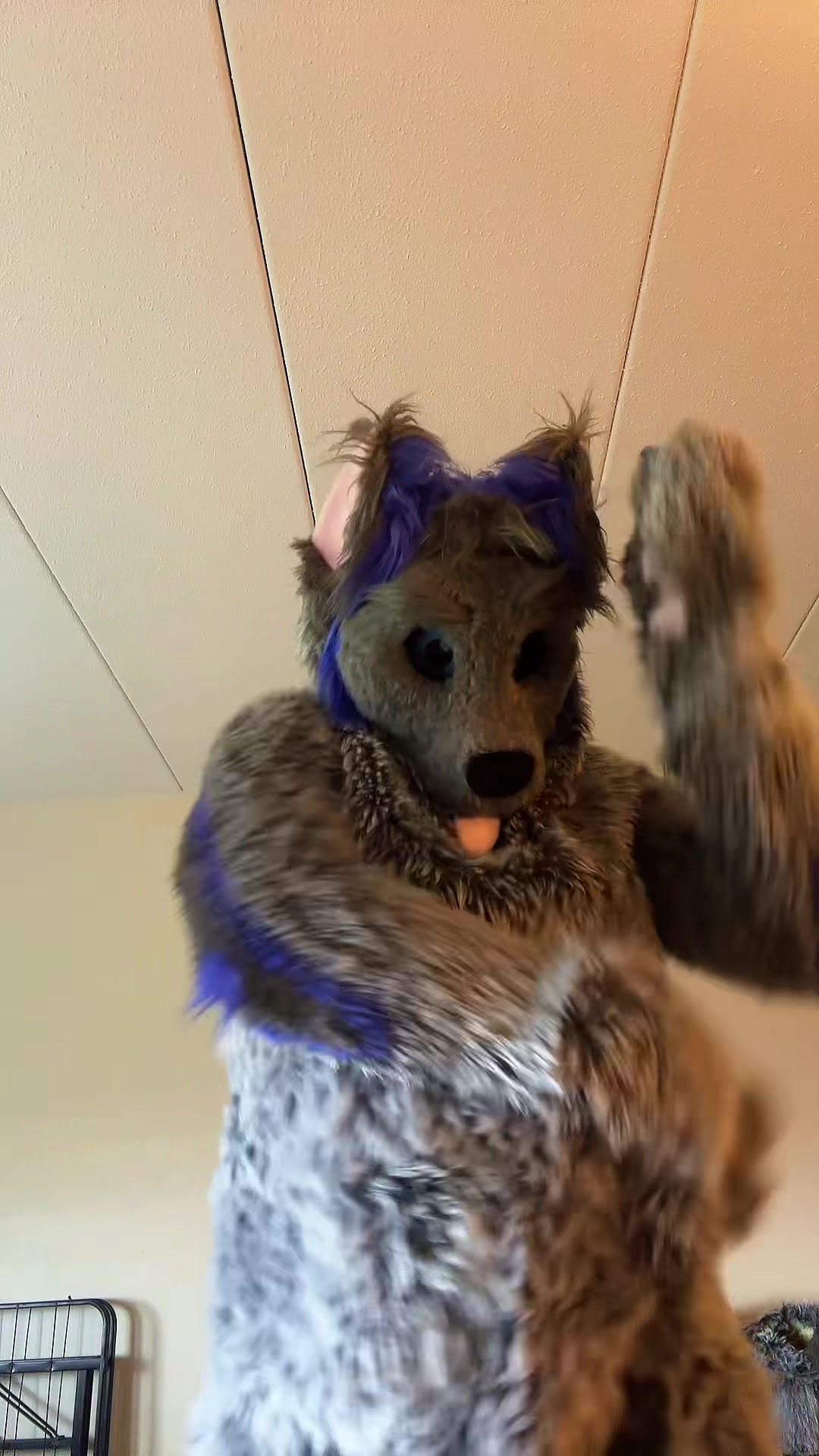 @ph0toshoot