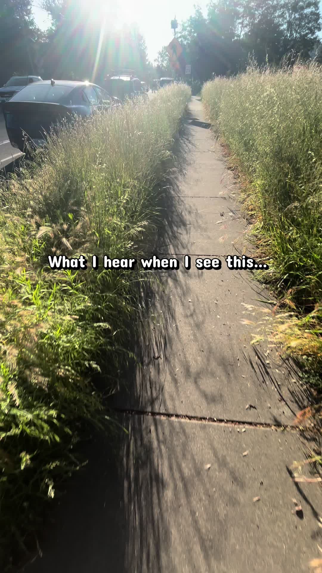 @Casey IRL 🩷