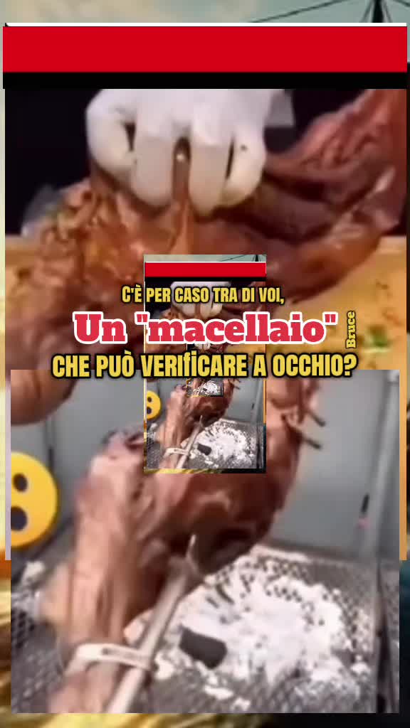 @BRUCE🇮🇹