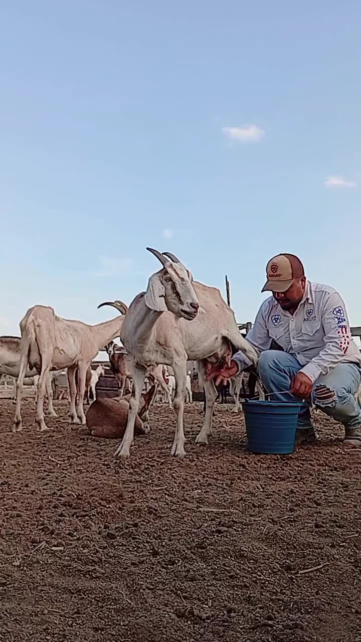 @Gumaro Serrato