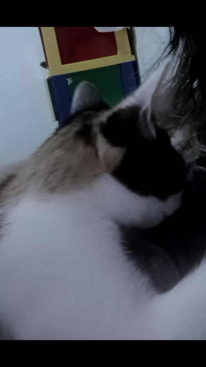 @๐โจ๐ท๐๐๐๐๐๐ โจ๐