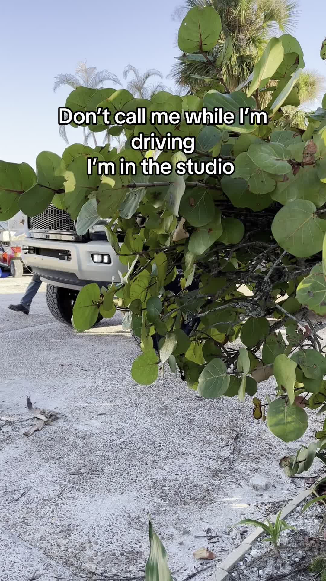 @alex