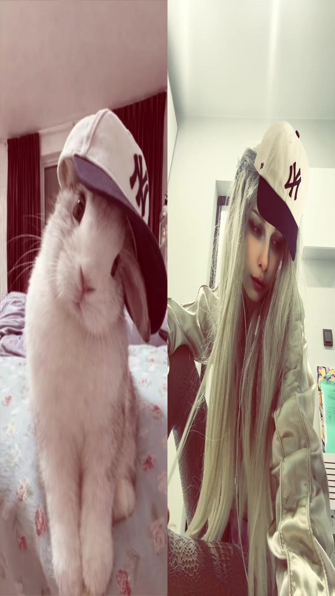 @pomeha