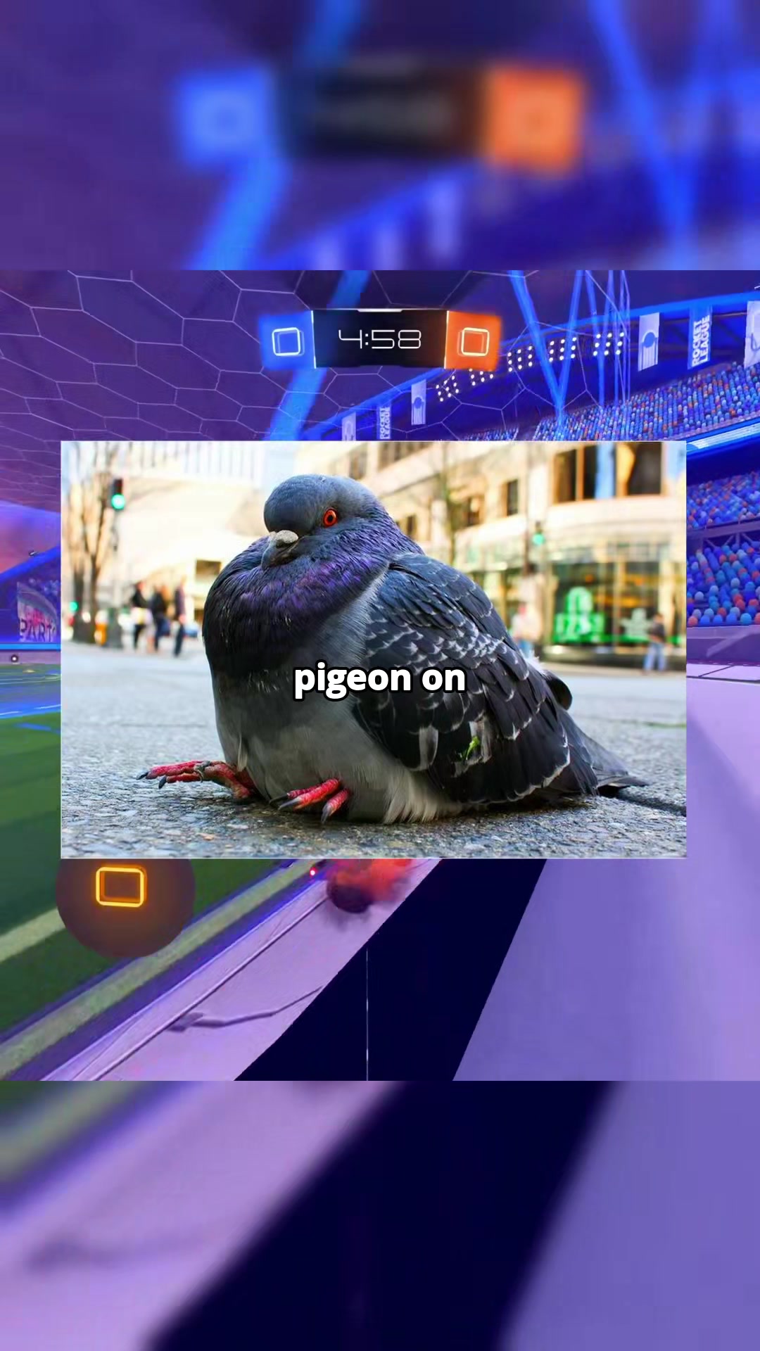 @jerbear_rl