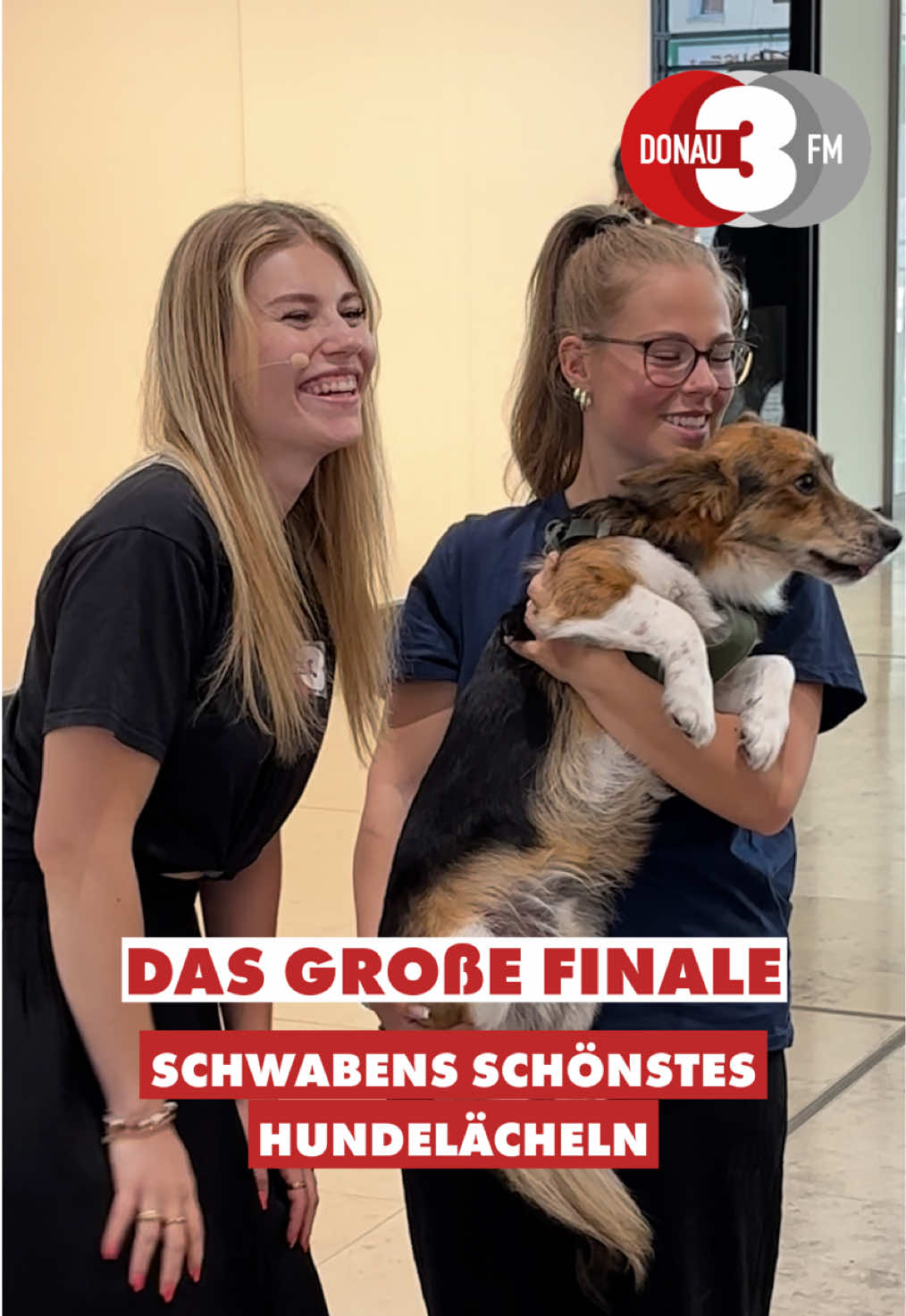 @DONAU 3 FM