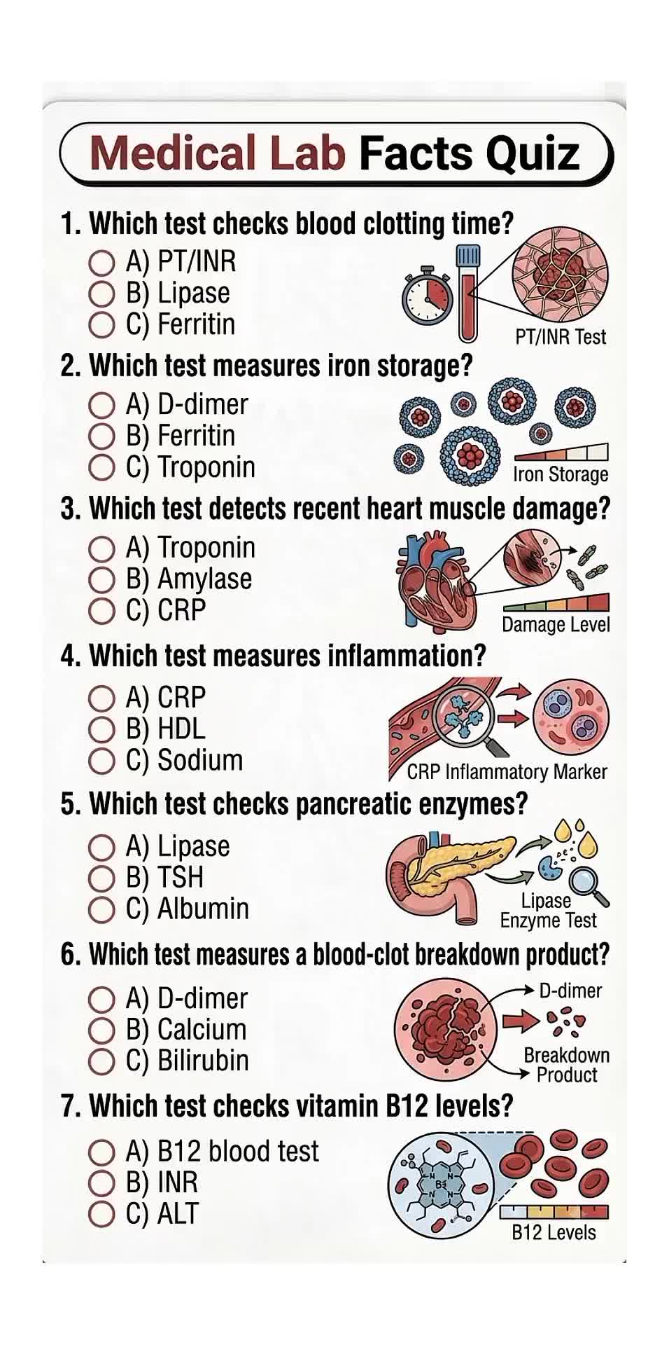 @Daily Quiz