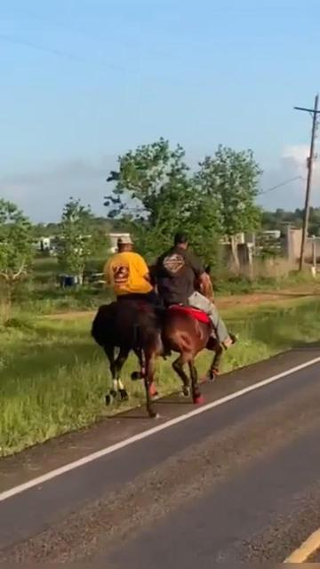 @Trailride Queen LMSW