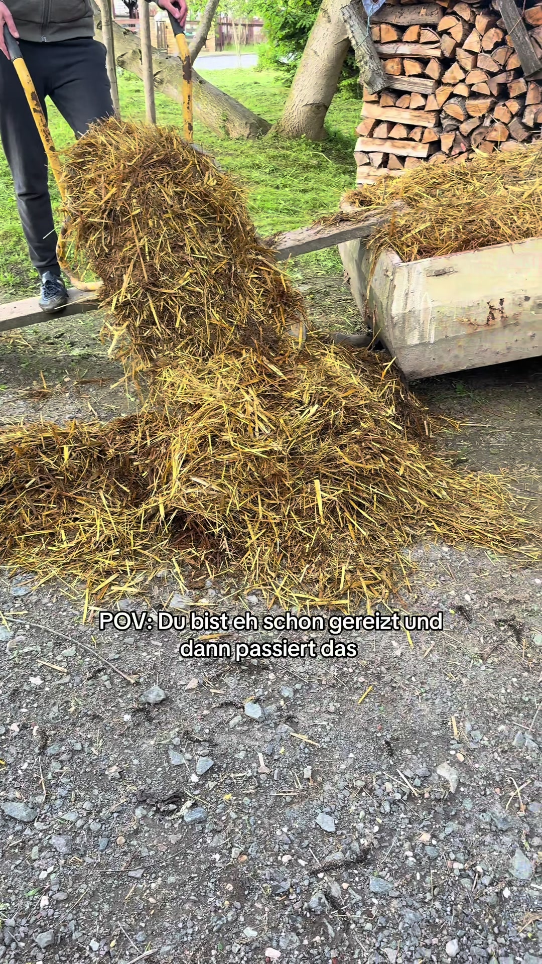 @Ponyhausen