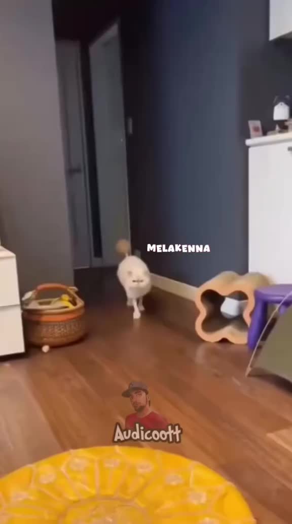 @🦋✨вυттєяfℓу🦋✨🗝️💕🆂︎🫶🏻🅹