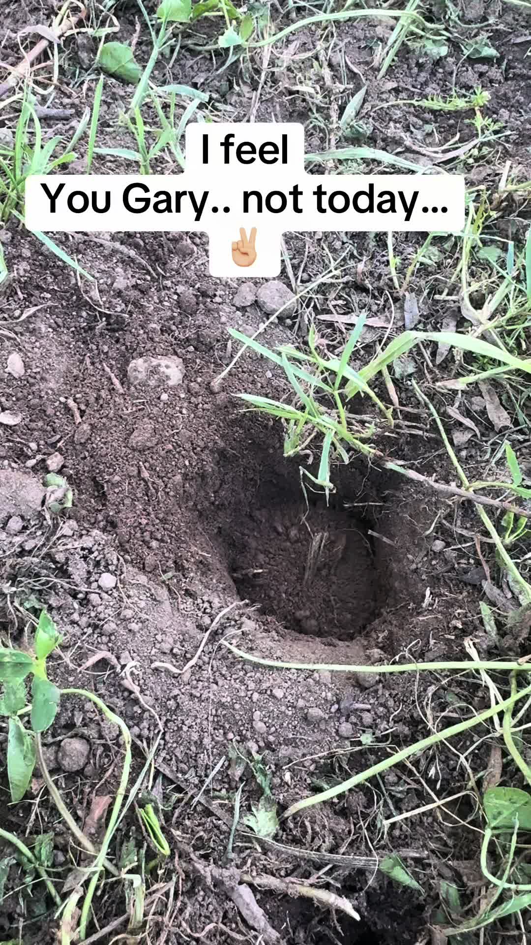 @staseasranch