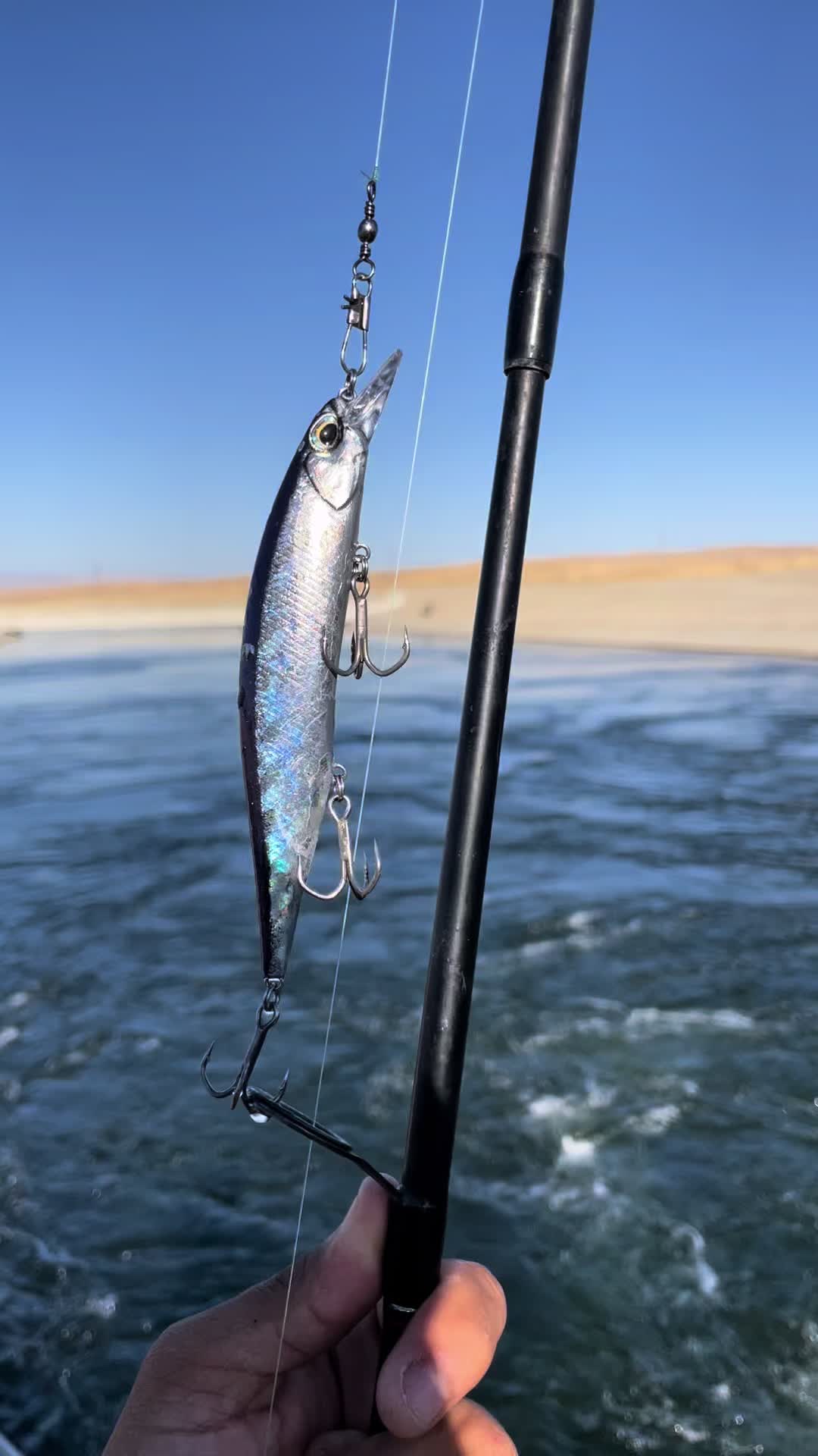 @Cast2Catch_661