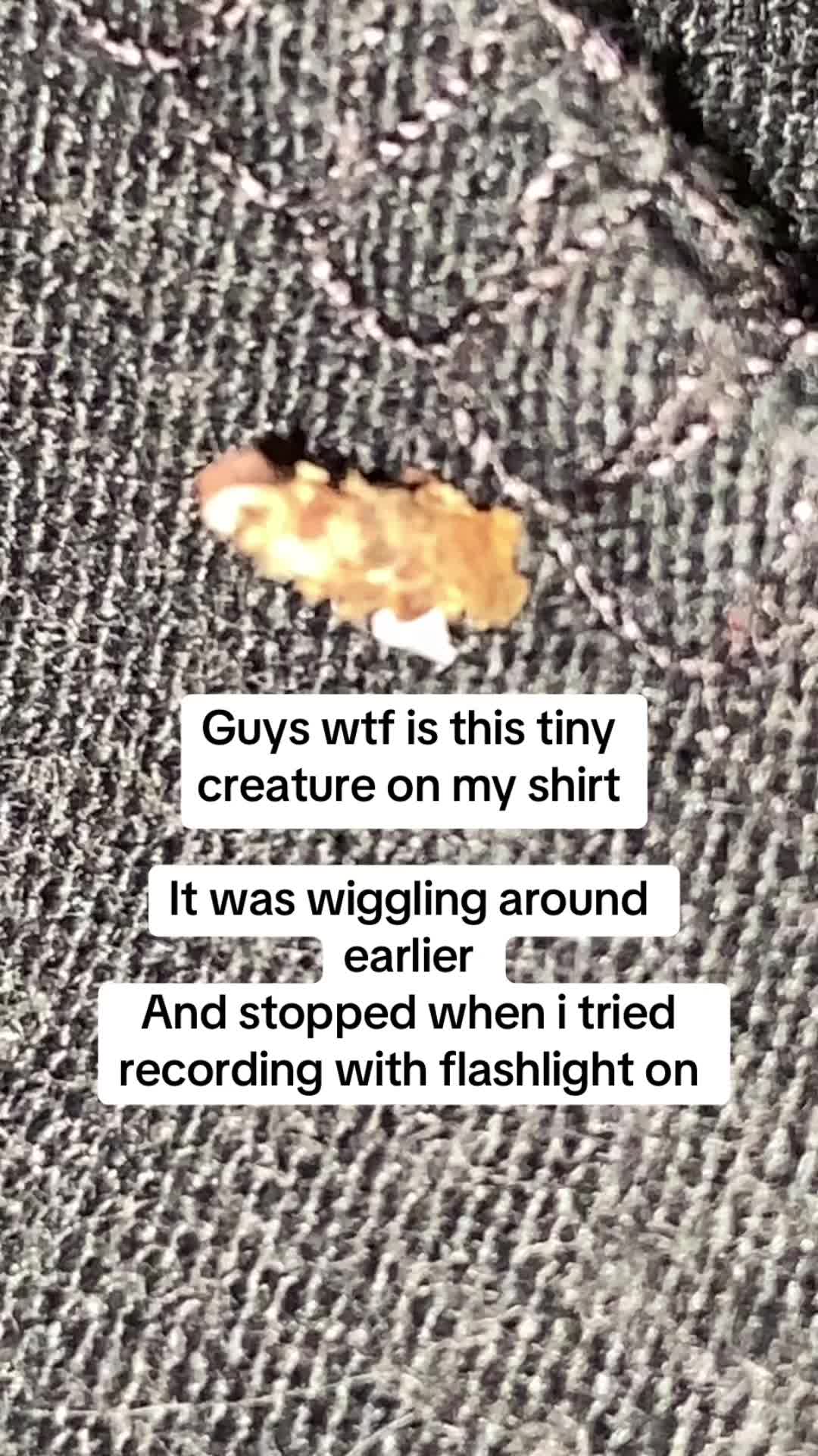 @ella🫥