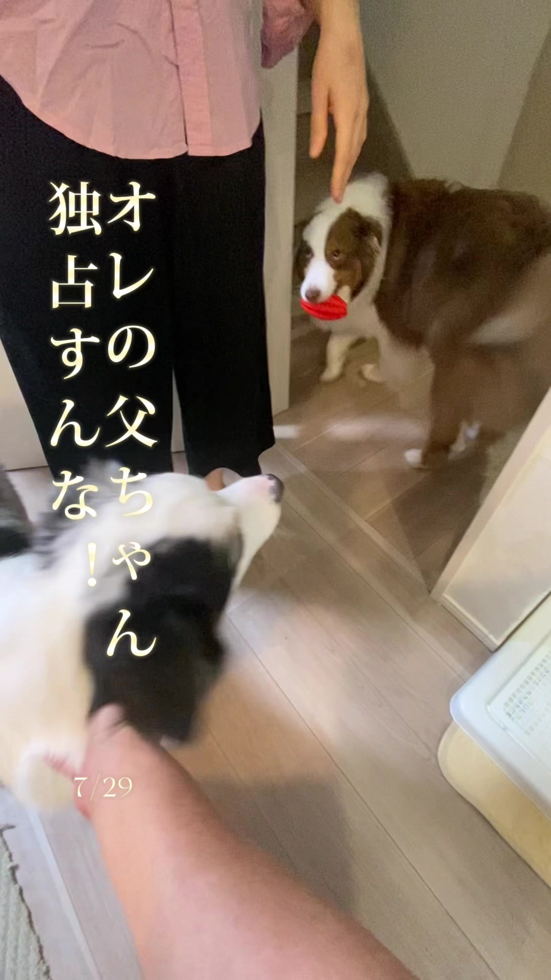 @サン&タマ