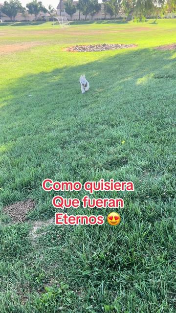 @Anabel Contreras