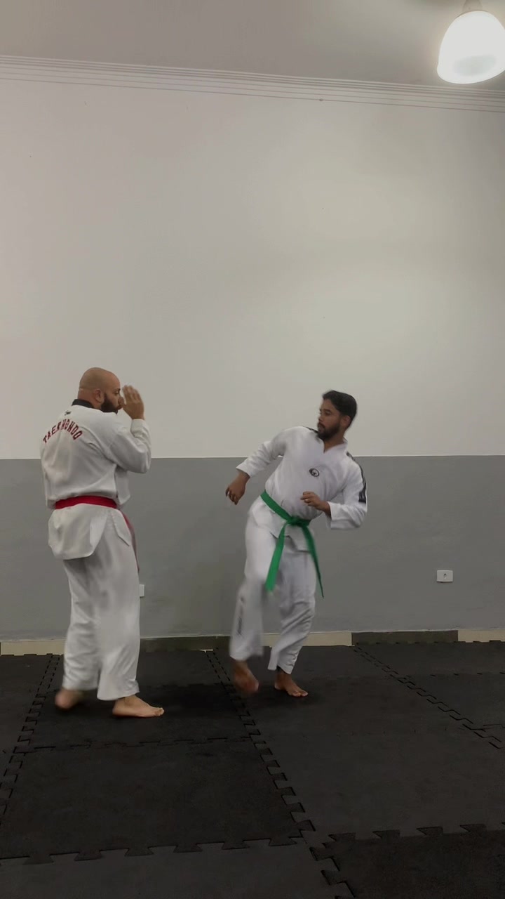 @Tavares TKD Fight