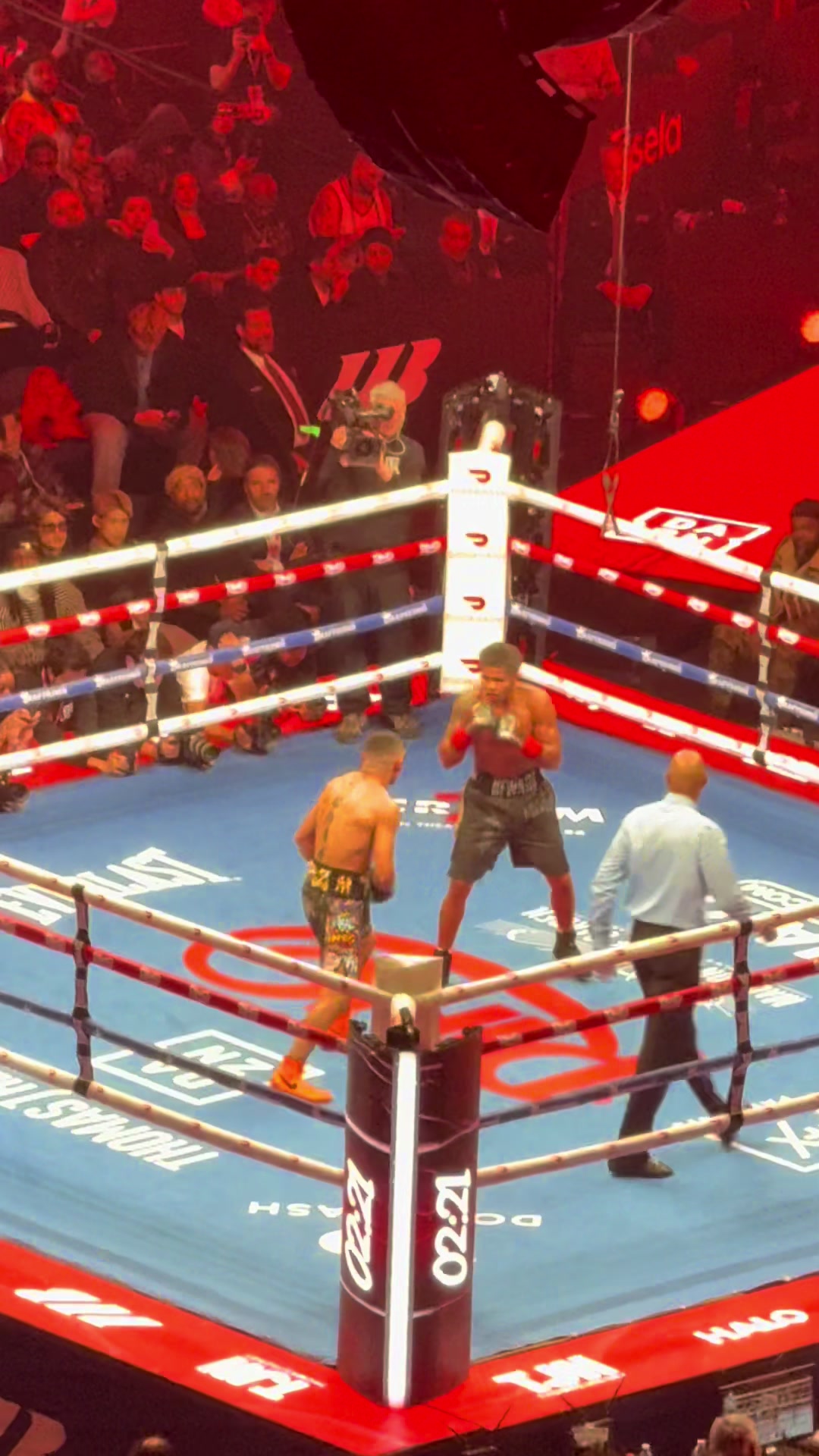 @macleodpittsboxing