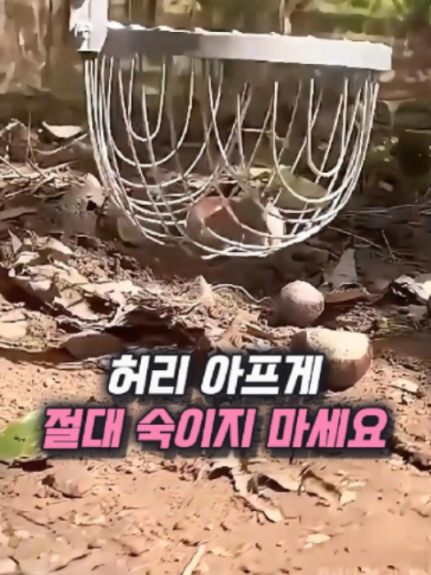@나나꿀템