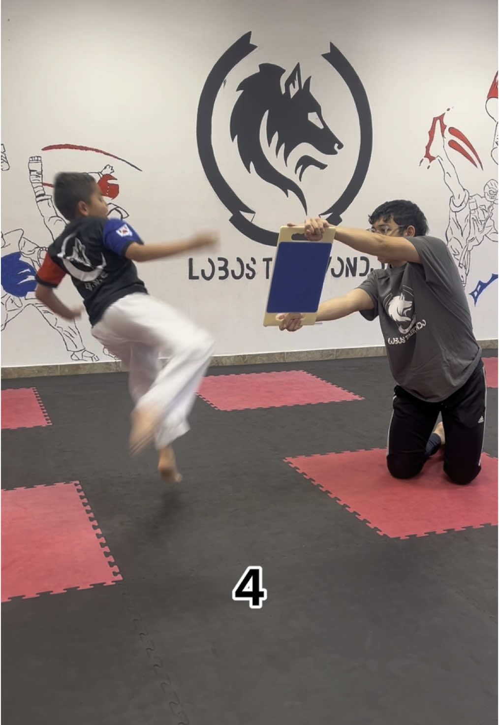@lobos.taekwondo