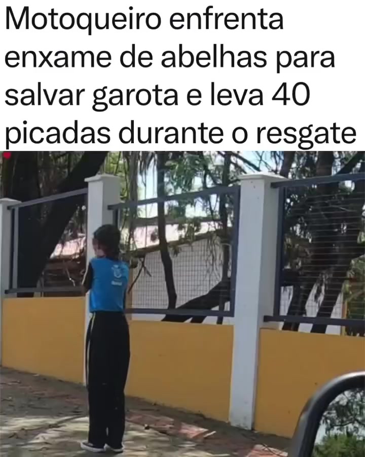 @ops_contei