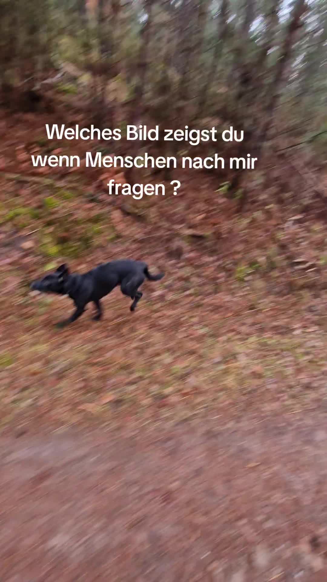 @Melli