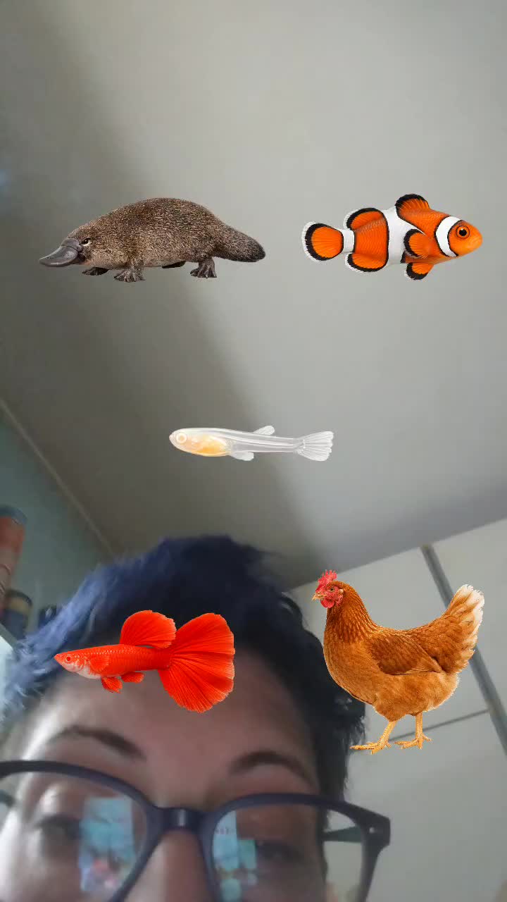 @𝕱𝖚𝖙𝖚𝖗𝖆.𝖔𝖋𝖋𝖎𝖈𝖎𝖆𝖑