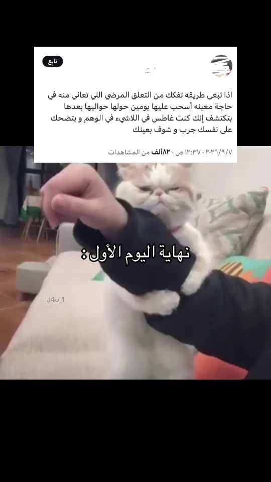 @✨Abdulrahman,✨