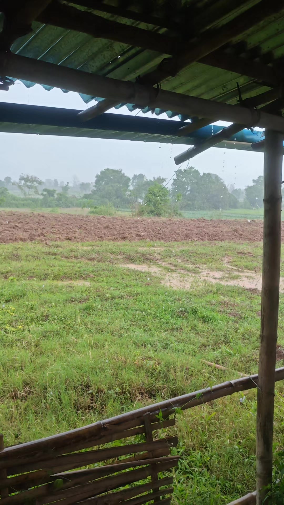 @Gu Sar Moe Yee