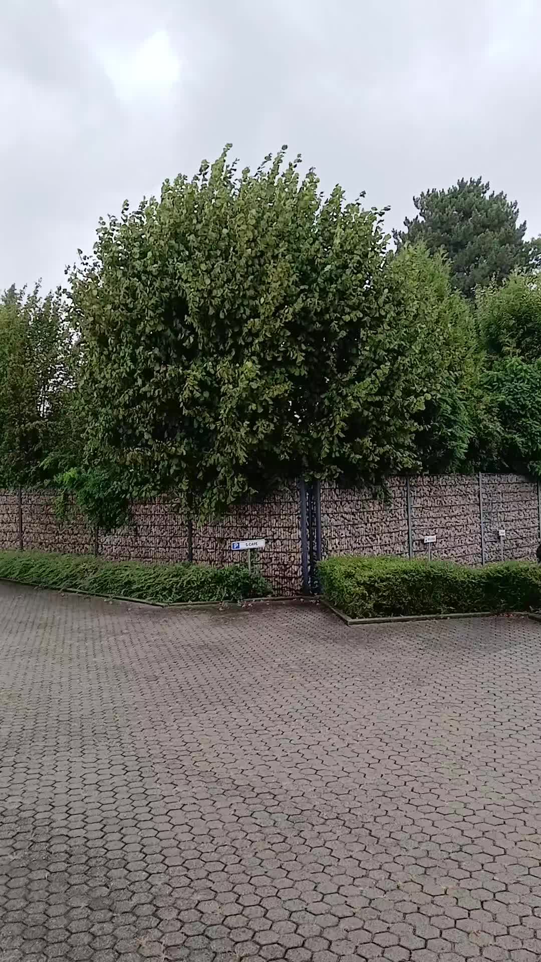 @Die Grüne Hölle