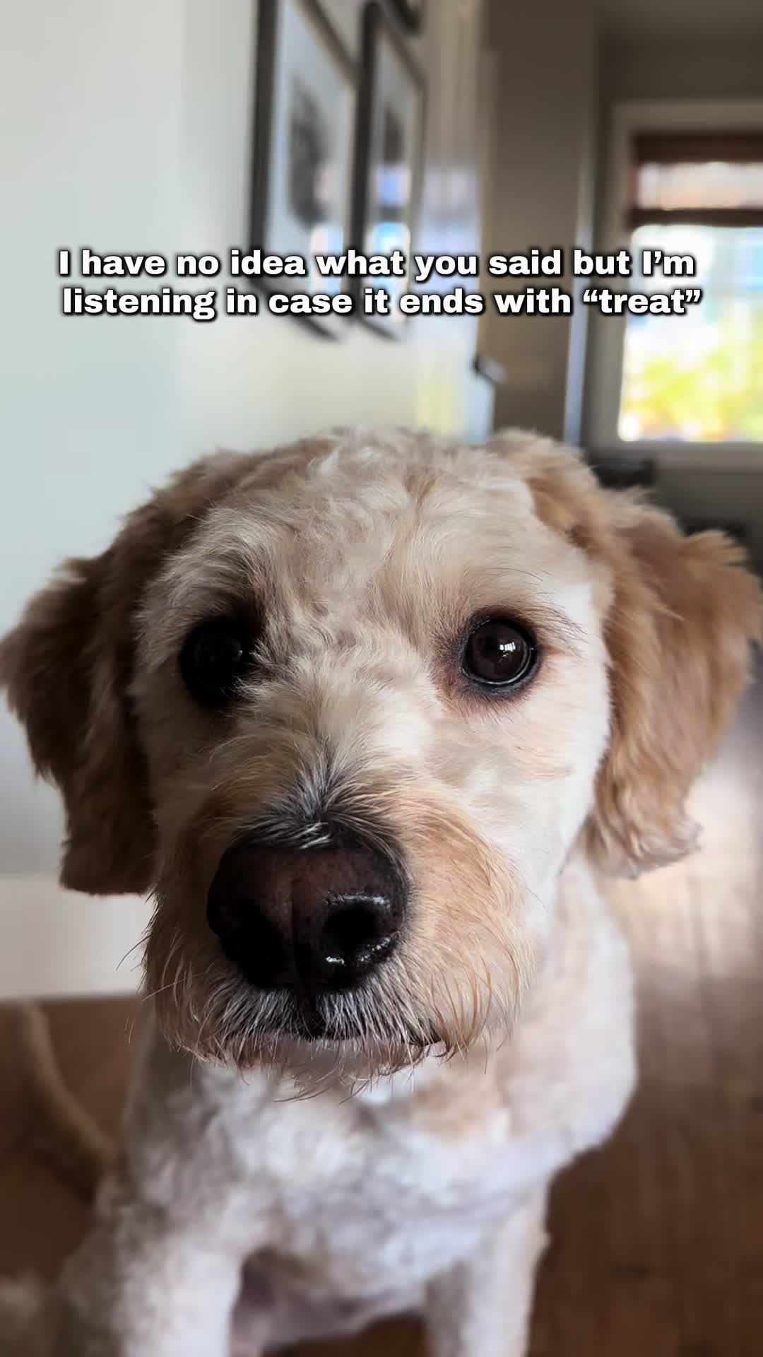 @Winston