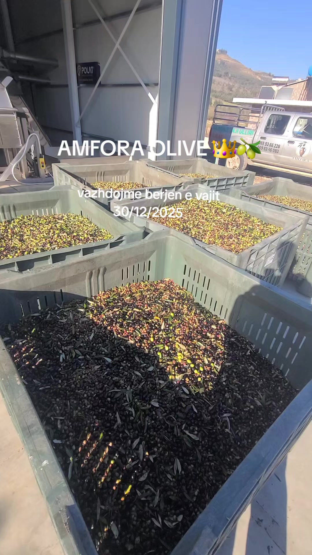 @Amfora