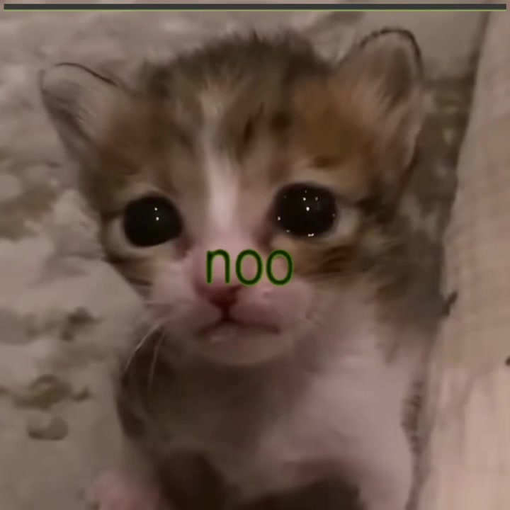 @𝒪𝓳𝓮𝓭𝓪𝓻𝓲𝓸