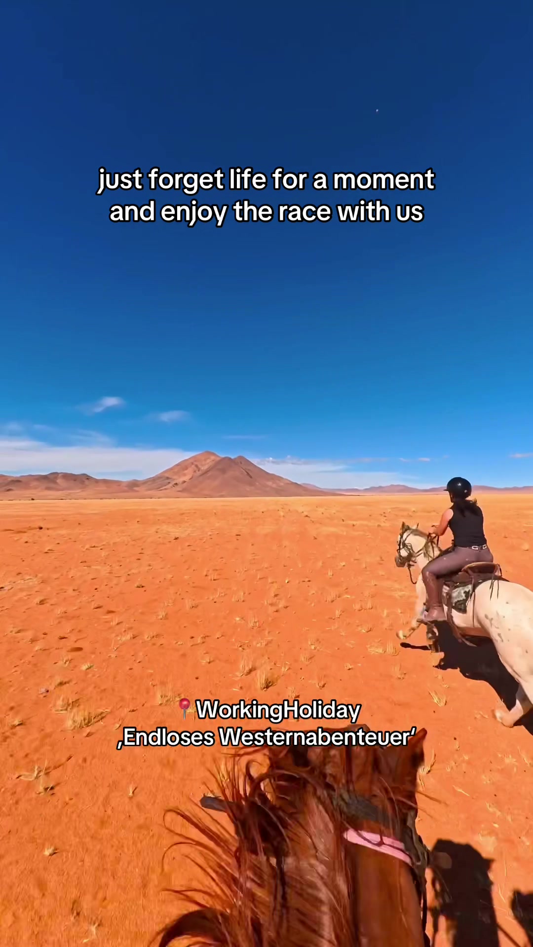 @Hoof & Travel 🐴🌍🐘