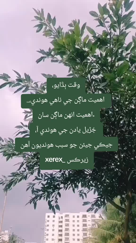 @زيرڪس_xerex