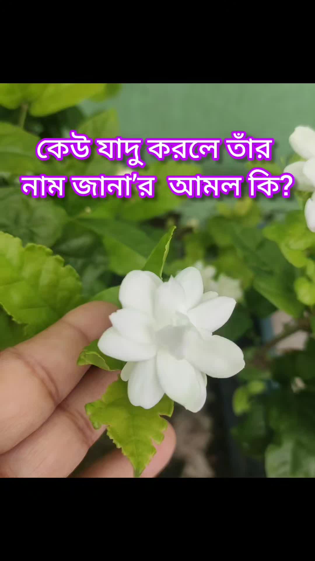 @cuisine_house