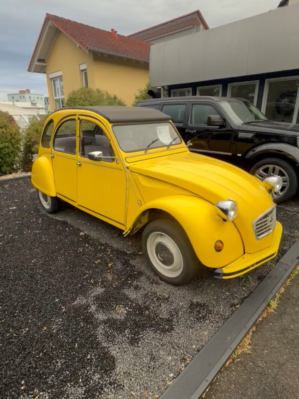 @Cars in Brasil