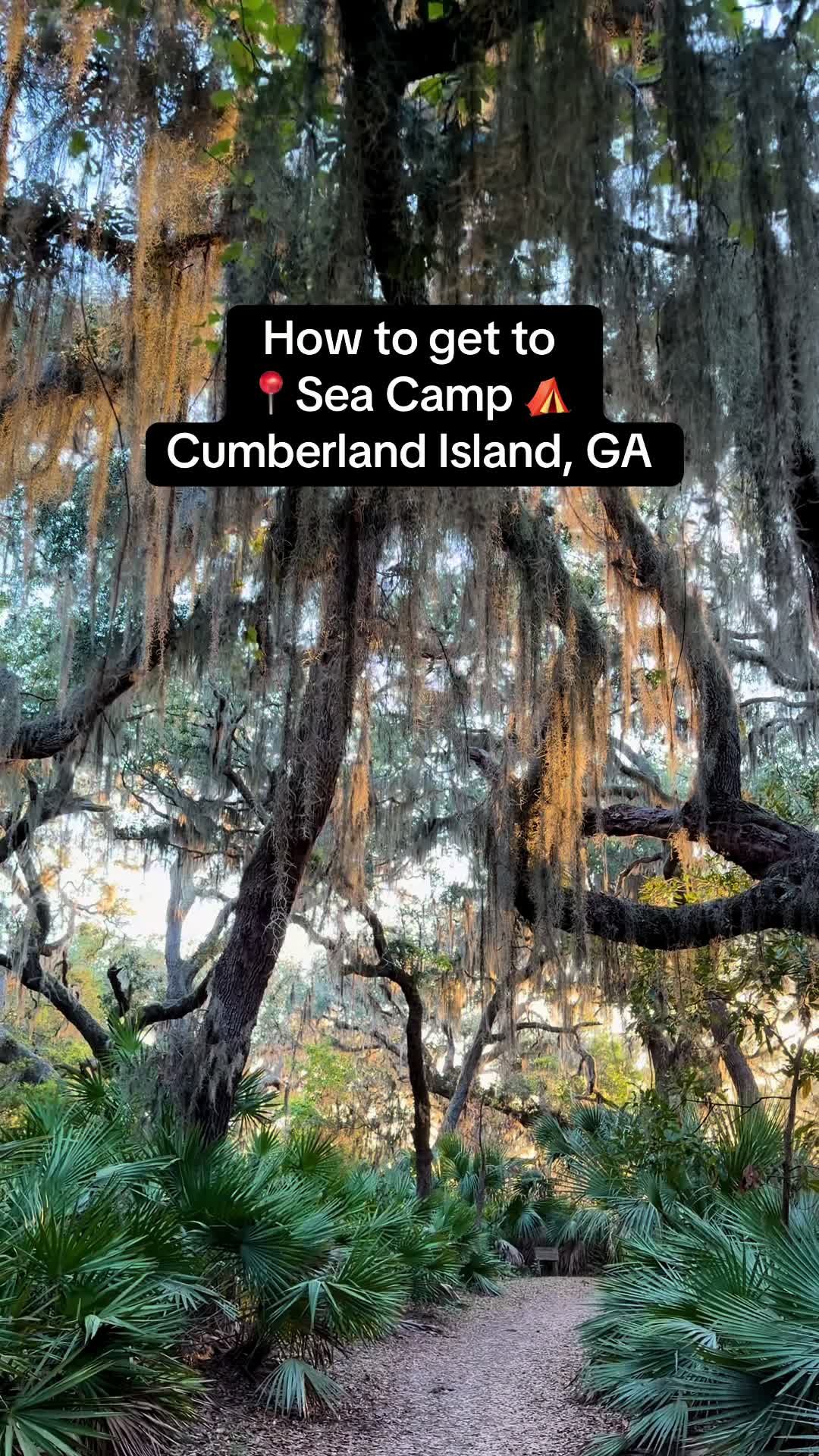 @AbaresAbroad