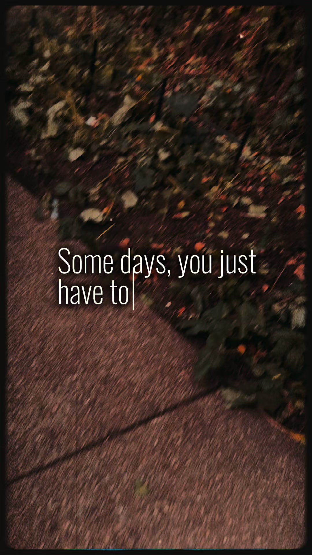@🫶🏼𝕂𝕚𝕂𝕚🫶🏼