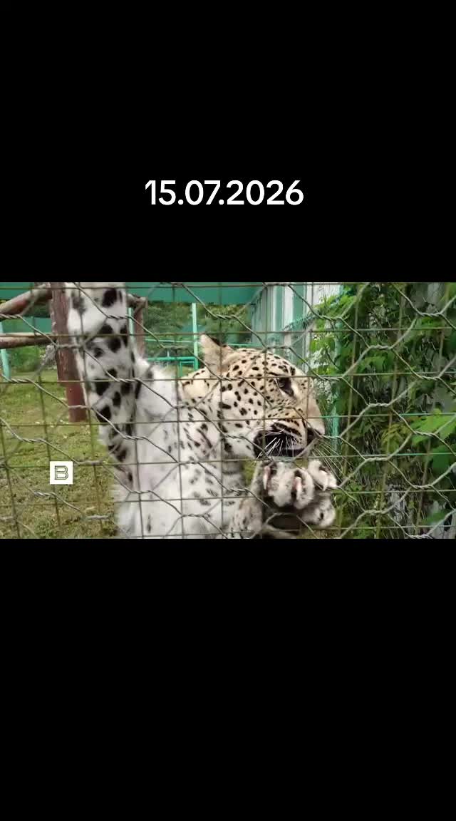 @новости без фильтров