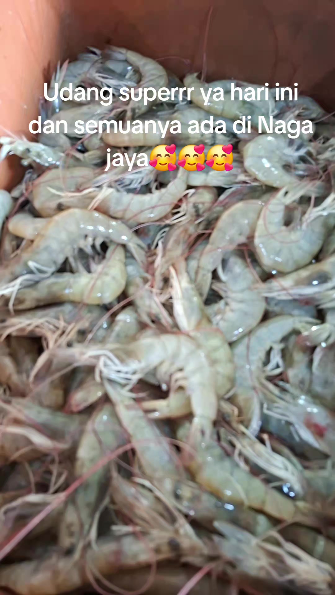 @Naga jaya