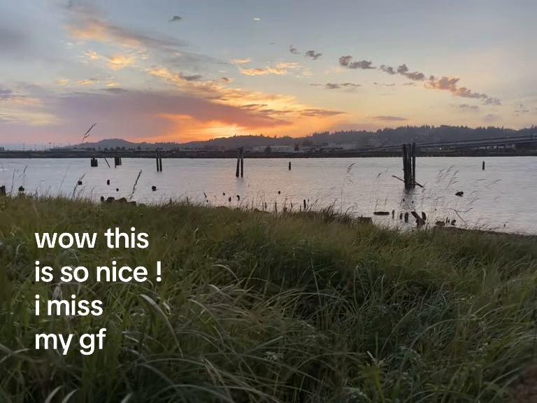 @⋆˚ʚ ˖𐂯⋆˚࿔