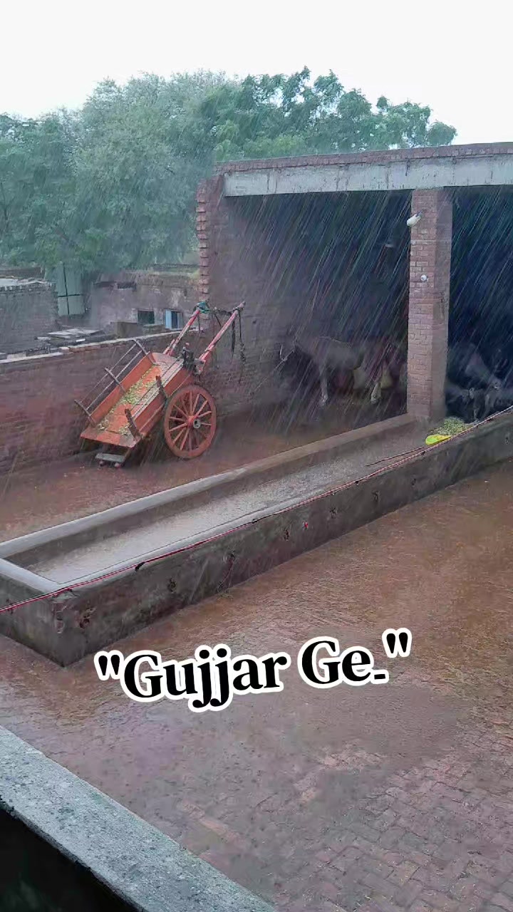@Honey singh('gujjar')