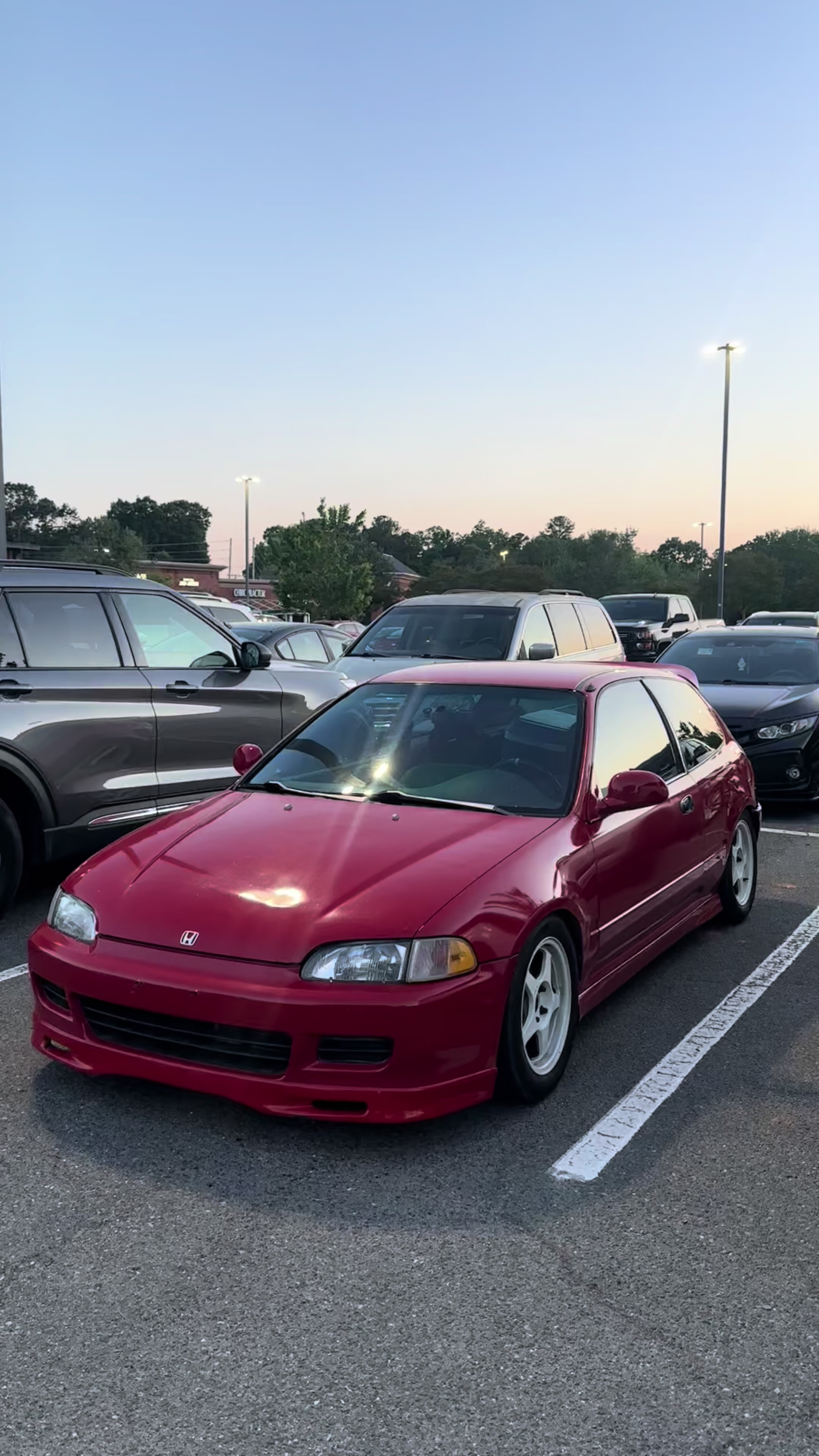 @gavin._.dolan