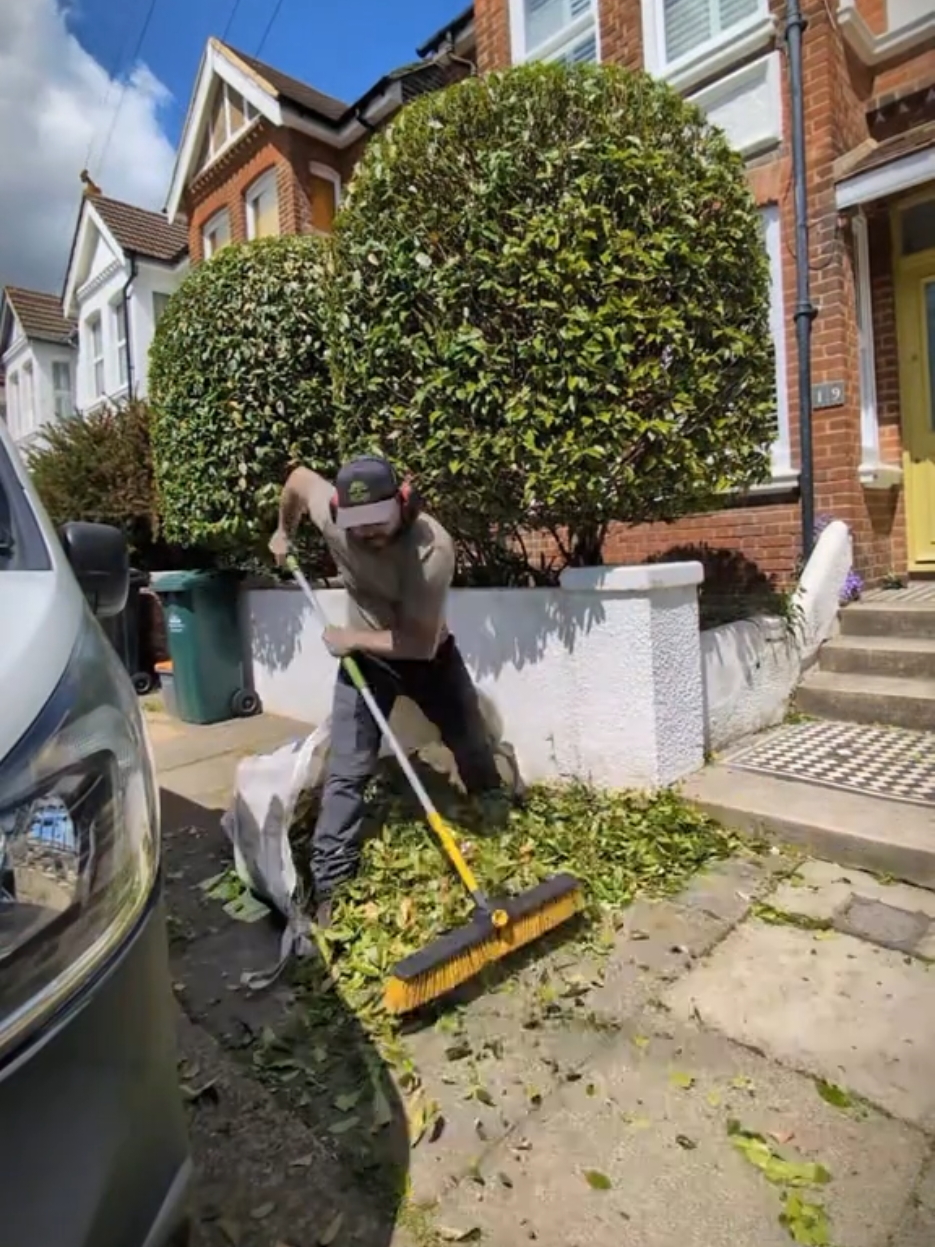 @Gary Hall Garden Services