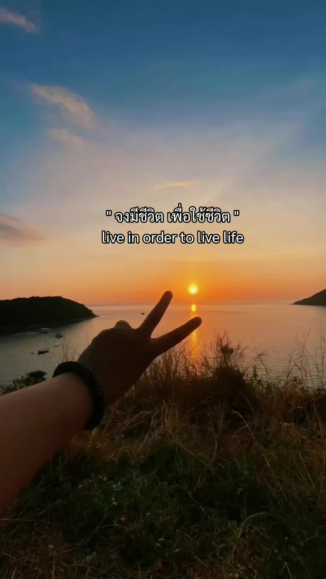 @Sakuna(🌴~🍑)