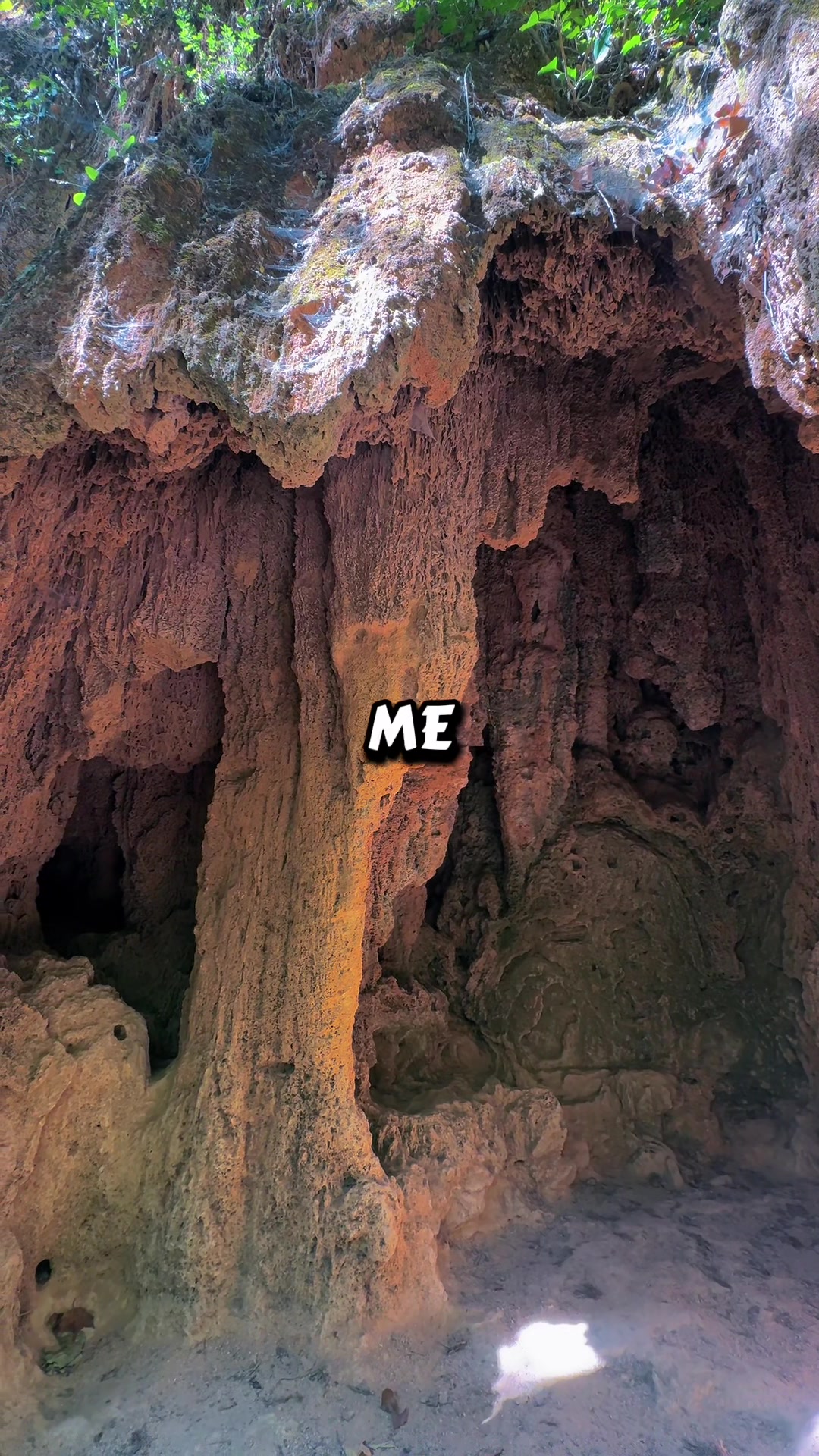 @🌺 𝓘𝓿𝓪𝓷𝓬𝓪 🌺