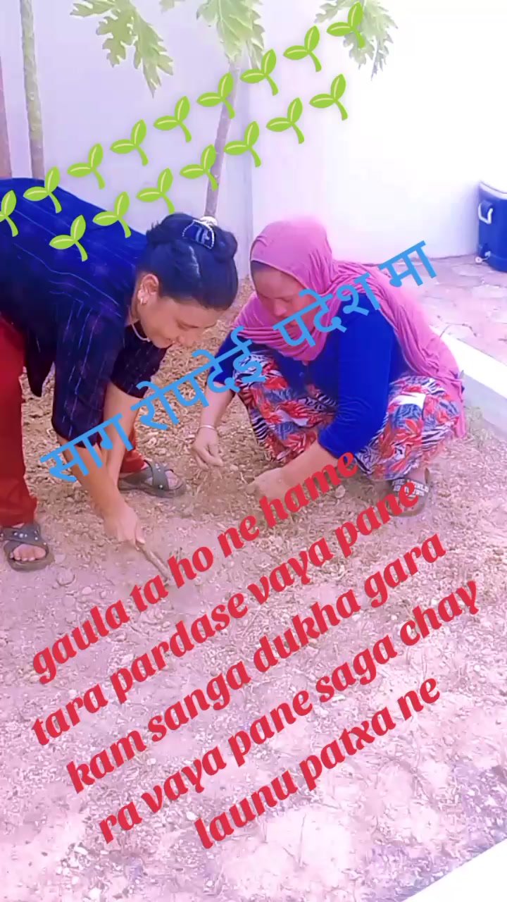 @ritu