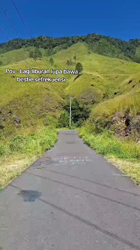 @Sintatarigan
