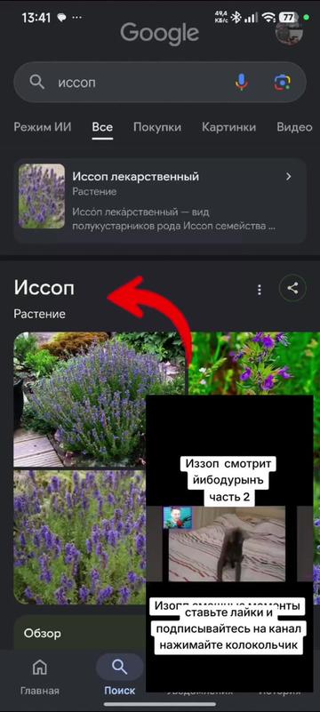 @🥞никодяйный [⚡⚡🪓]